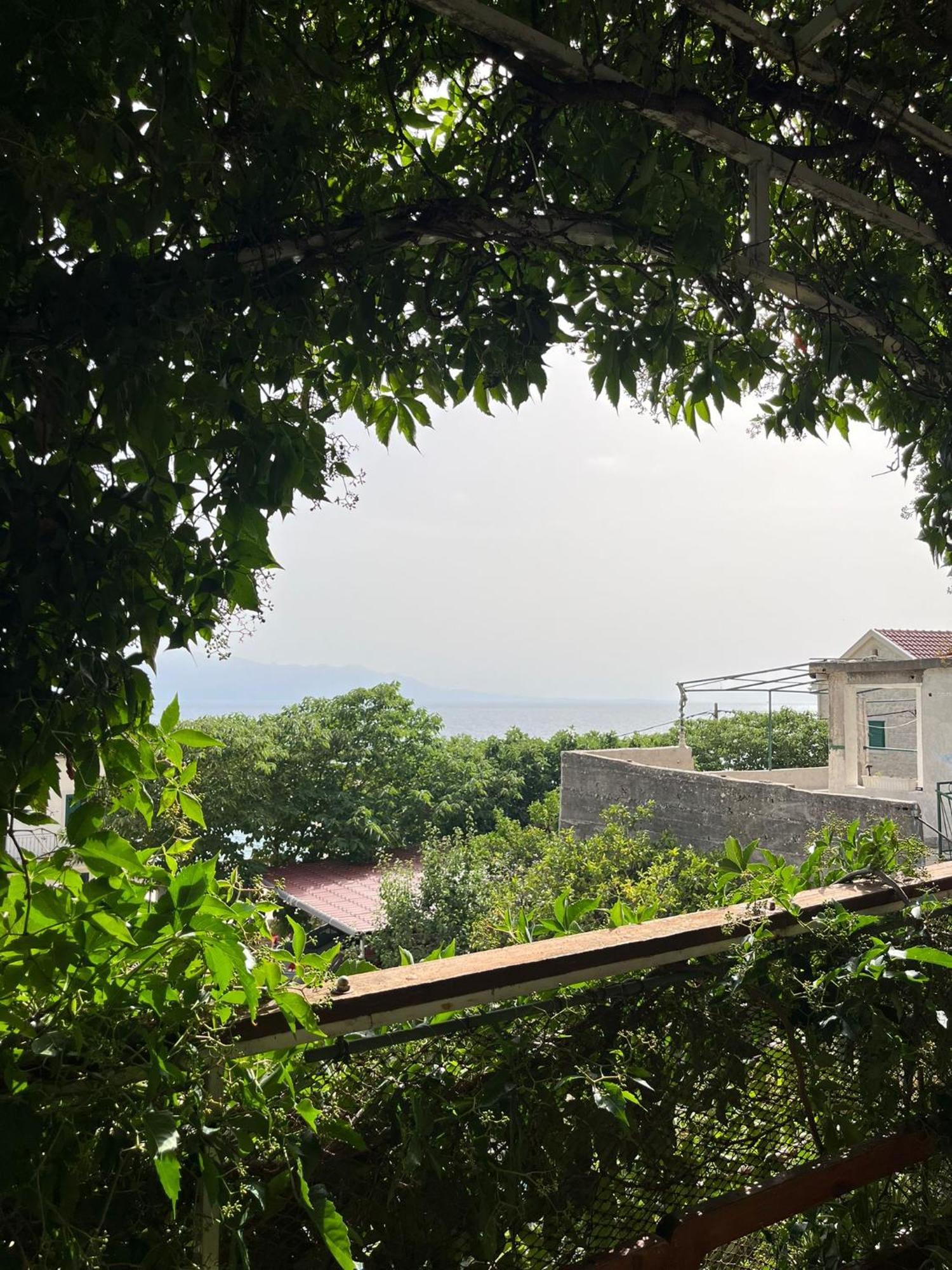 Apartmani Ankora บริสท์ ห้อง รูปภาพ